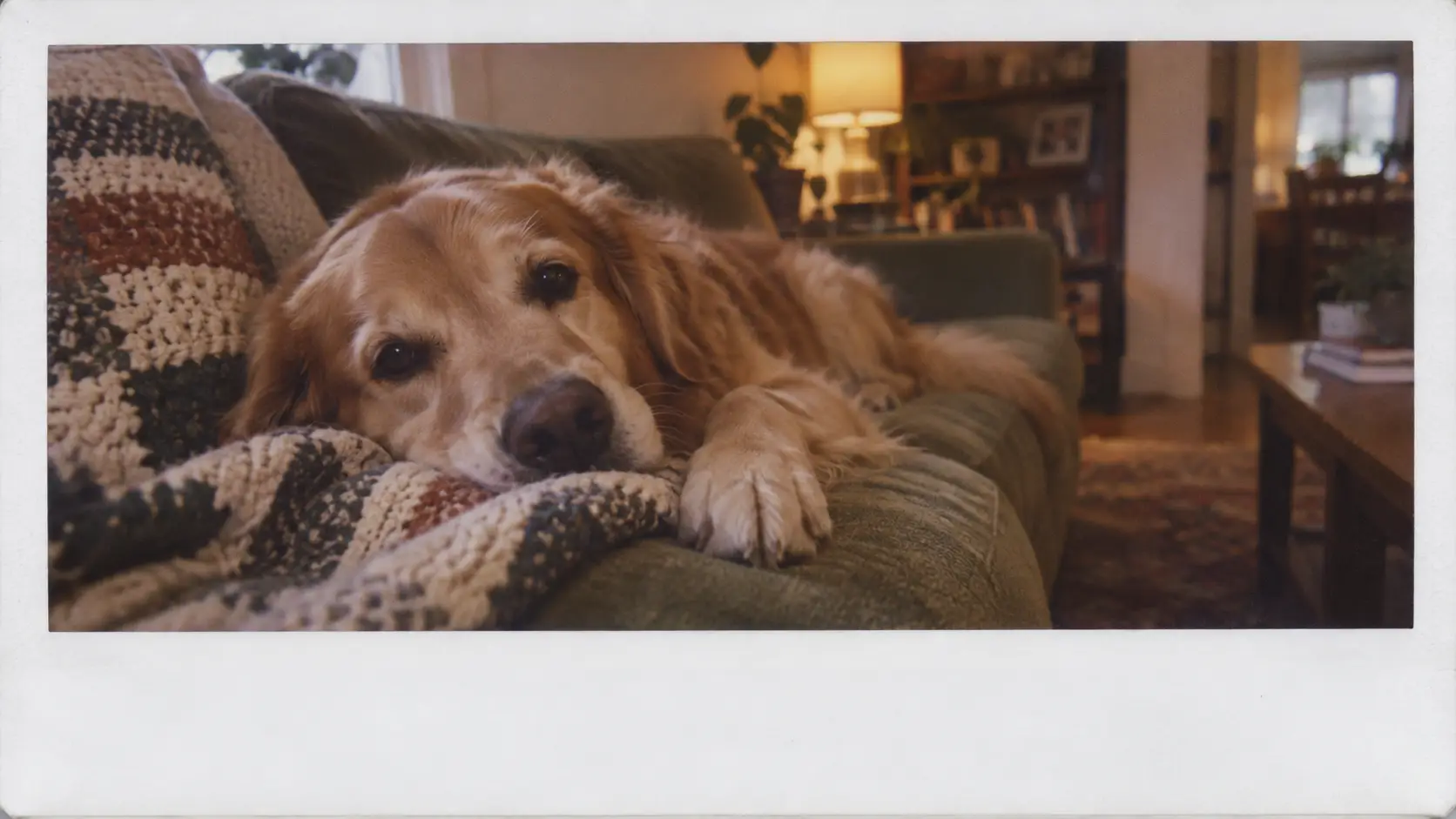 Pet Keepsakes